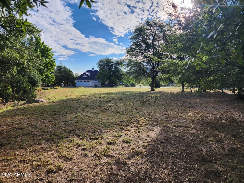 Plenty of Shade Trees
