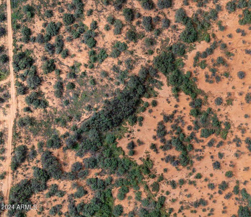 Birds-eye View