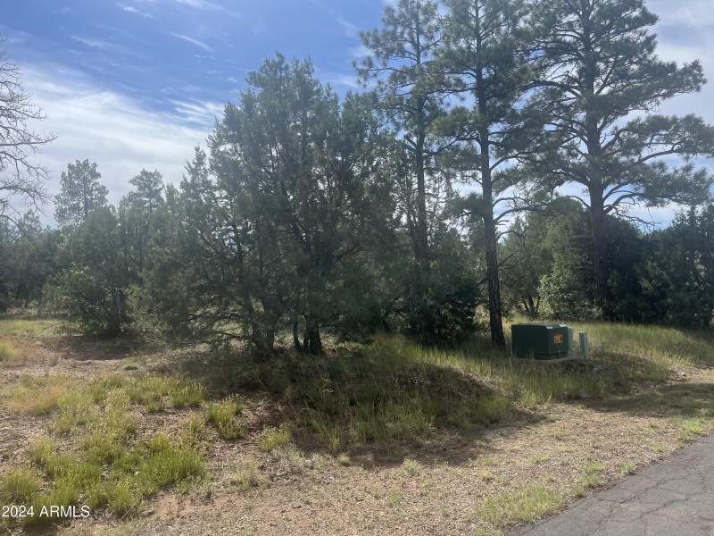 Lot 54. 3