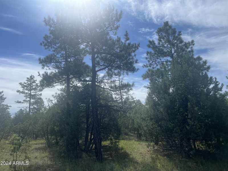 Lot 55. 4