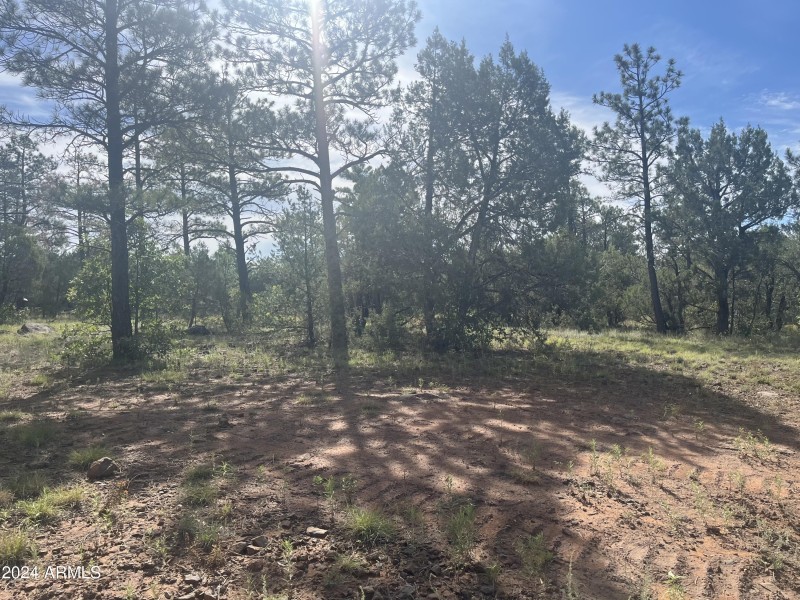 Lot 58. 2