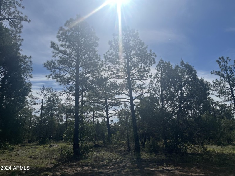 Lot 58. 3