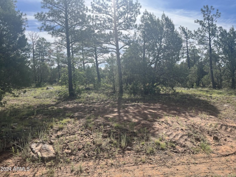 Lot 58. 4