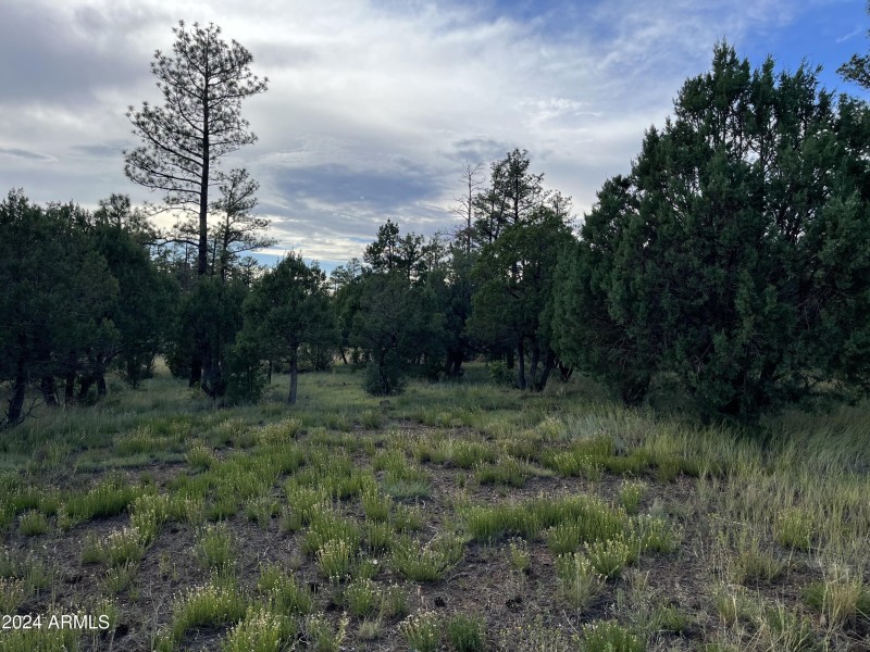 Lot 27. 3