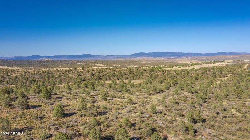 Property Views