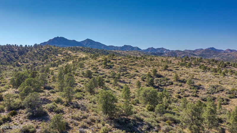 Property Views