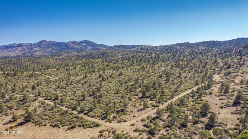 Property Views