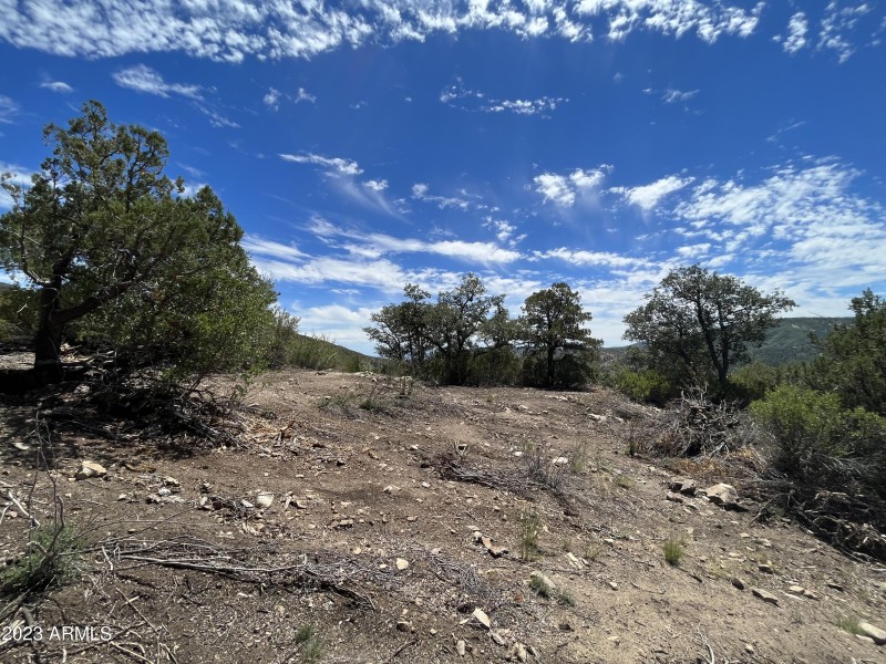 Hillside acreage