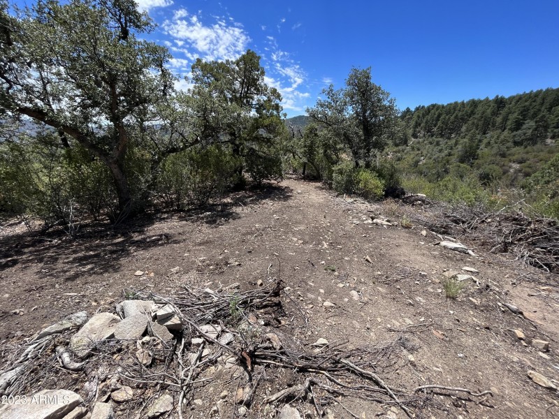 Hillside acreage
