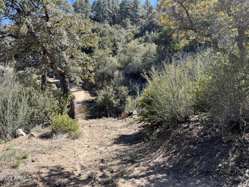 Looking towards road