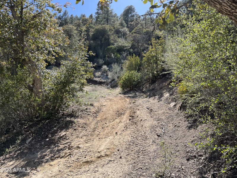 Driveway to smaller flat area