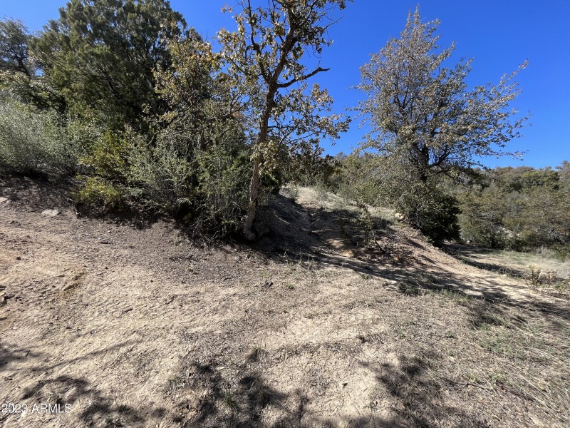 Driveway between parcels