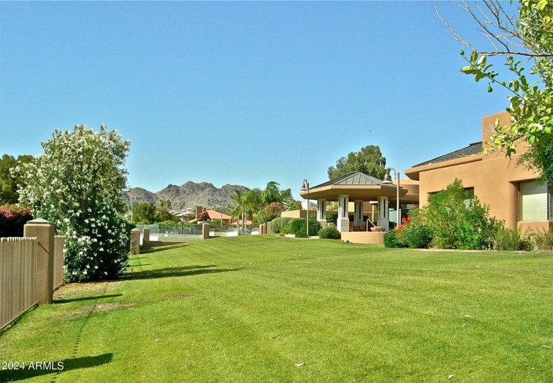 A GREAT BACKYARD