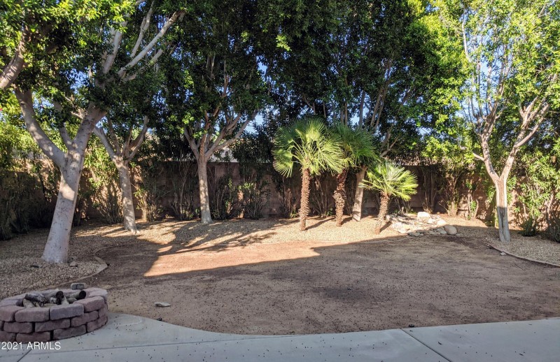 Back Yard from Patio
