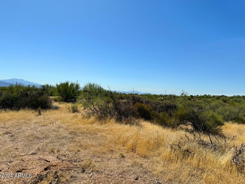 Panoramic Views