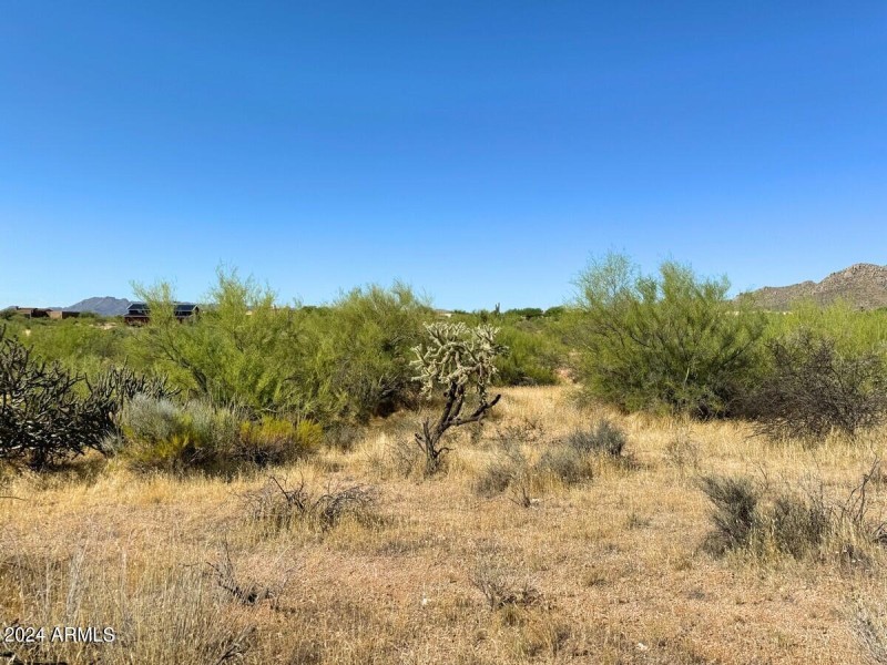 Desert Lifestyle