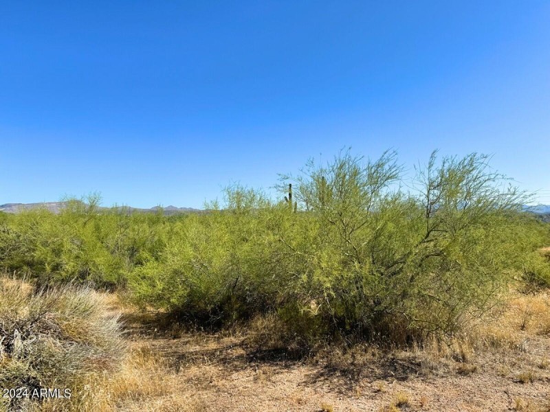 Level lots