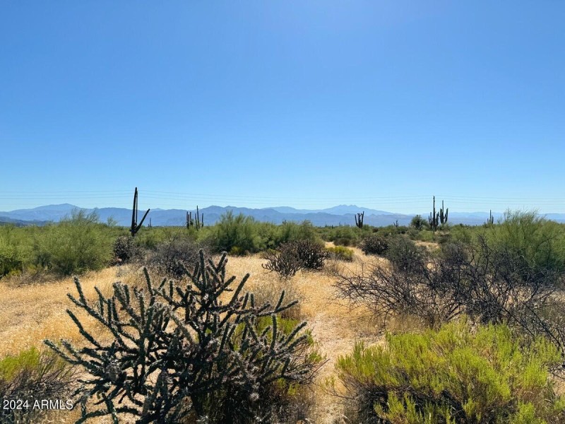 Mountain Views