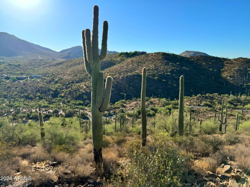 Majestic Panoramic Views