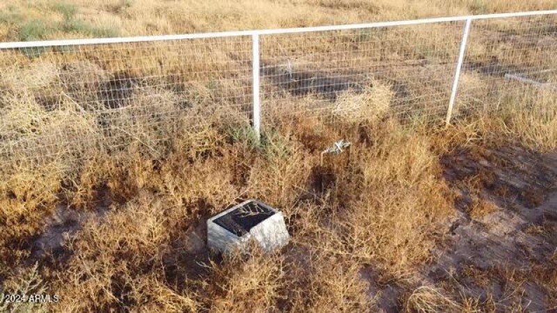 image6