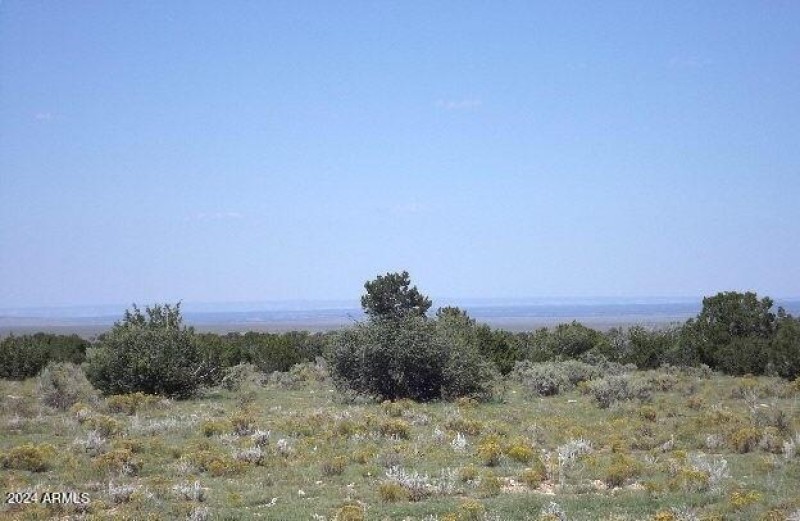 5864 W BLUE STAR TRL