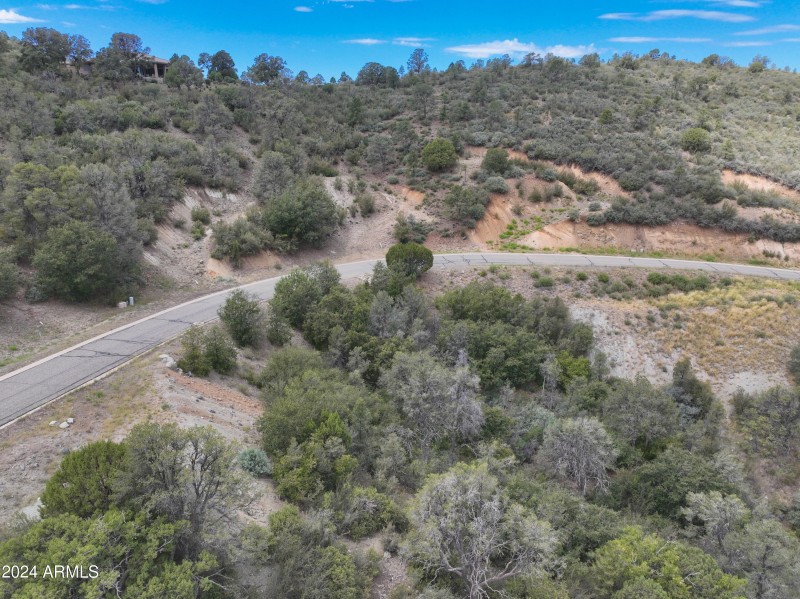 009_Aerial View 1