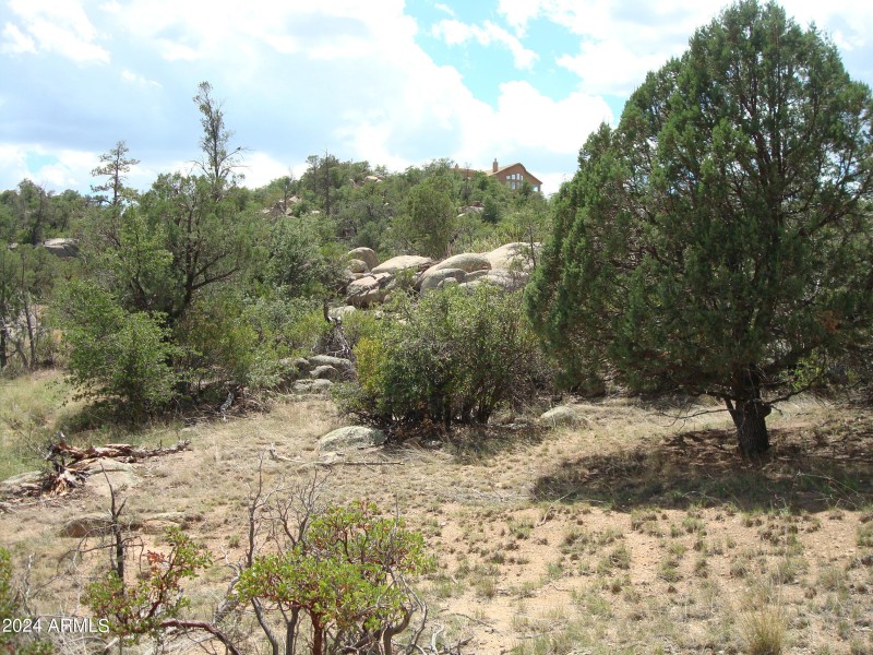 7. West view to 629 Downer Trail
