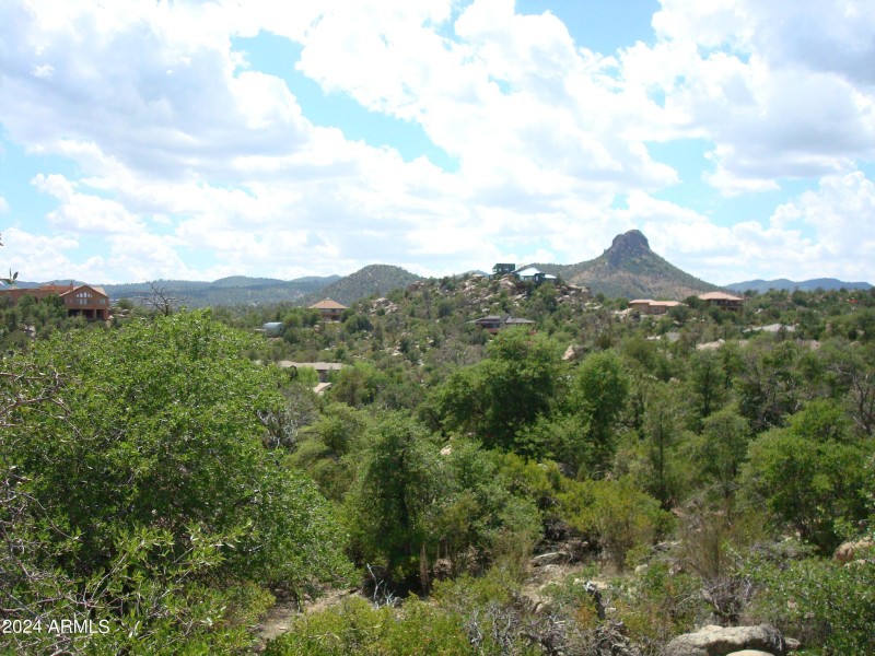 12. West view