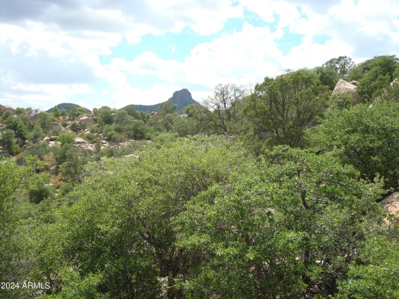 Site #13