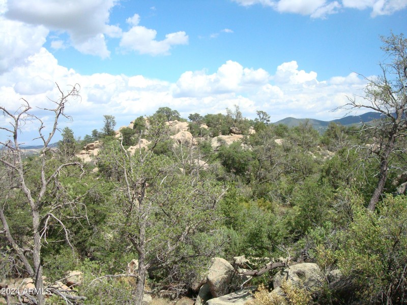 Site #19