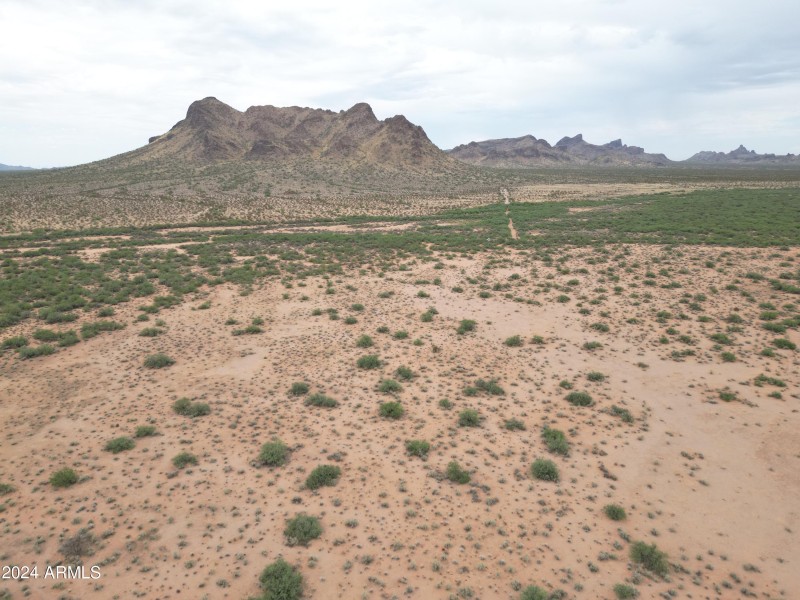 DJI_0684