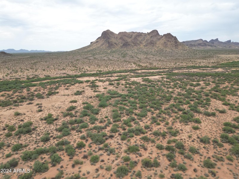 DJI_0678