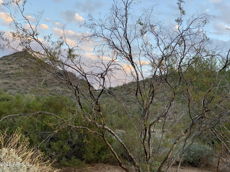 10580 lot east