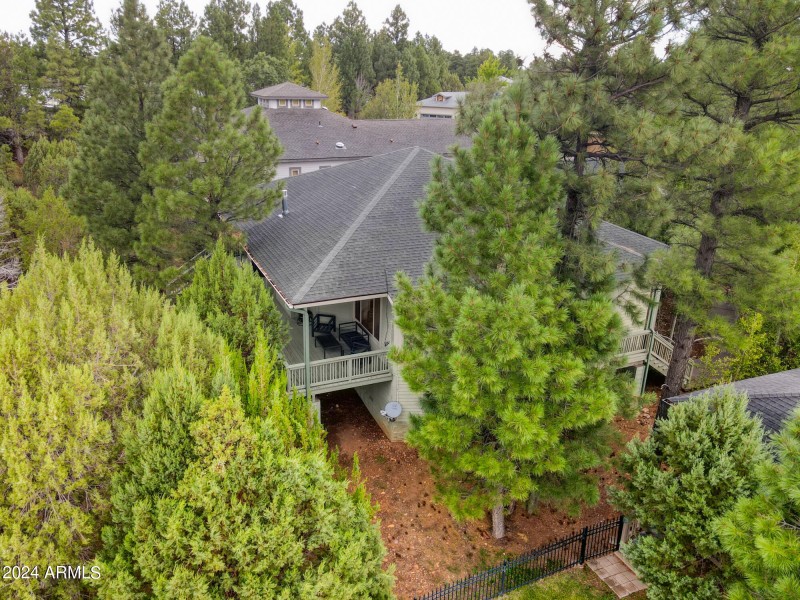 Pines around