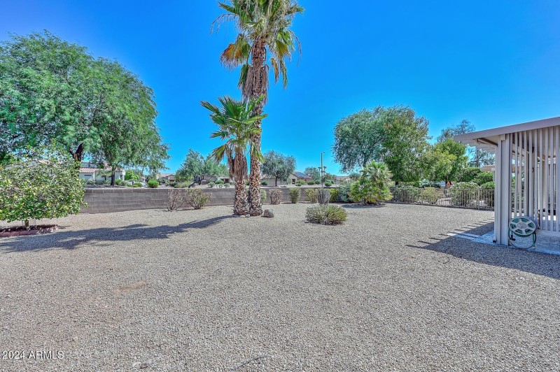 Backyard2