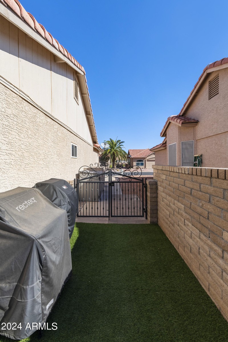 BBQ and Synthetic grass dog run