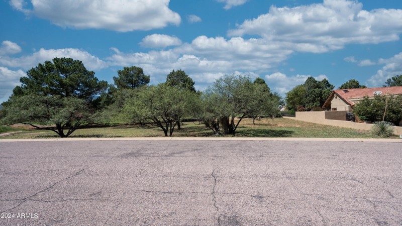 Ground - Palmer-2