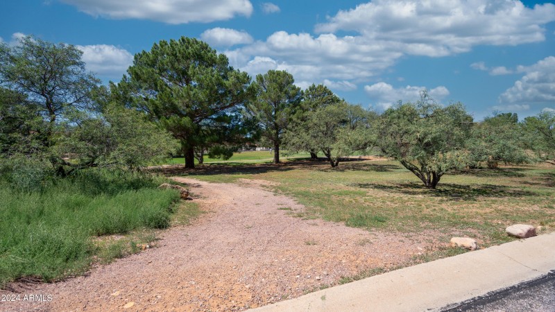 Ground - Palmer-3