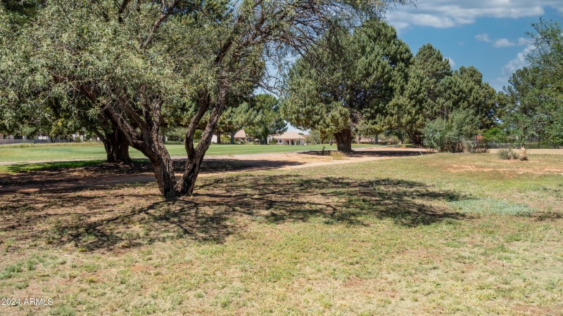 Ground - Palmer-4