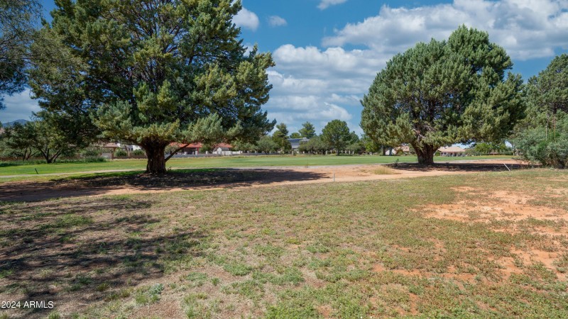Ground - Palmer-5