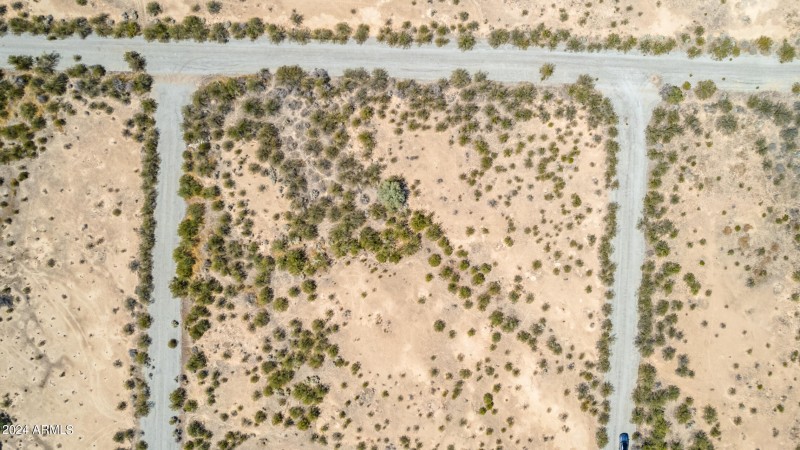 08 - Hualapai