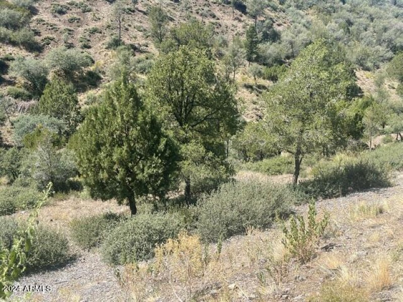 image5
