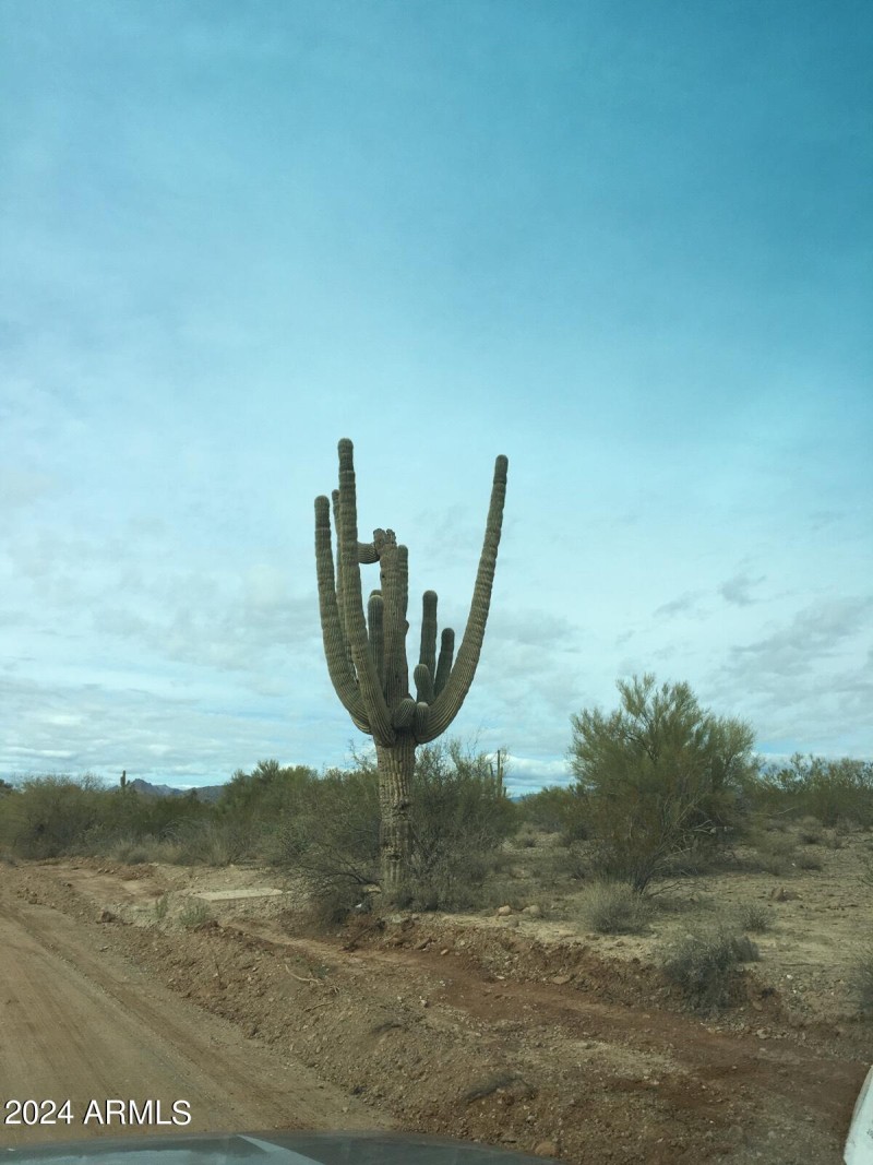 Lake Pleasant 5