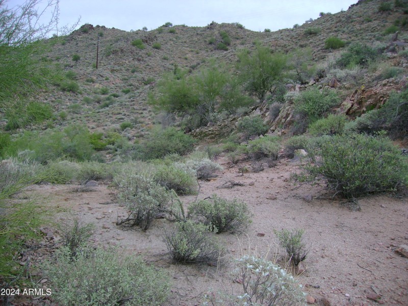 Landscape (2)