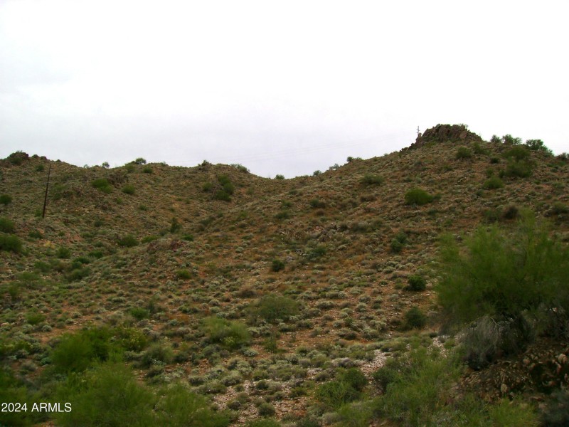 McDowell View