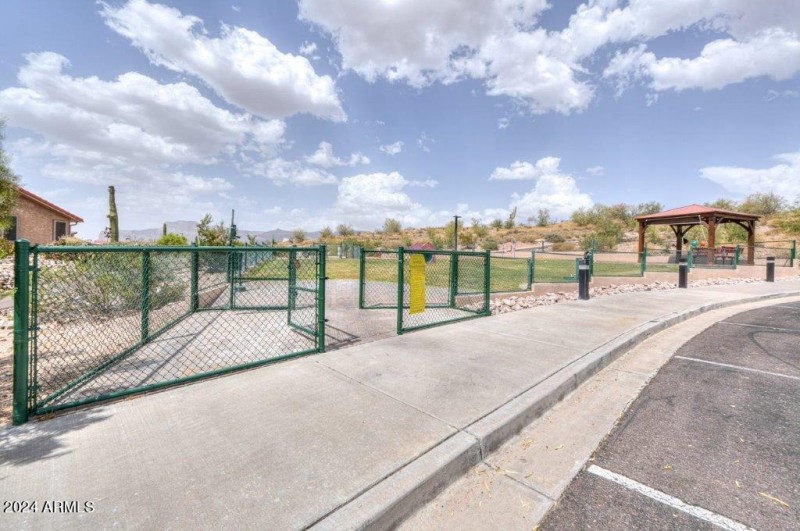 Dog Park