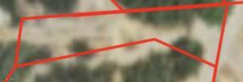 Screenshot 2024-09-11 at 5.41.37PM