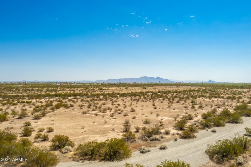 03 - Pima