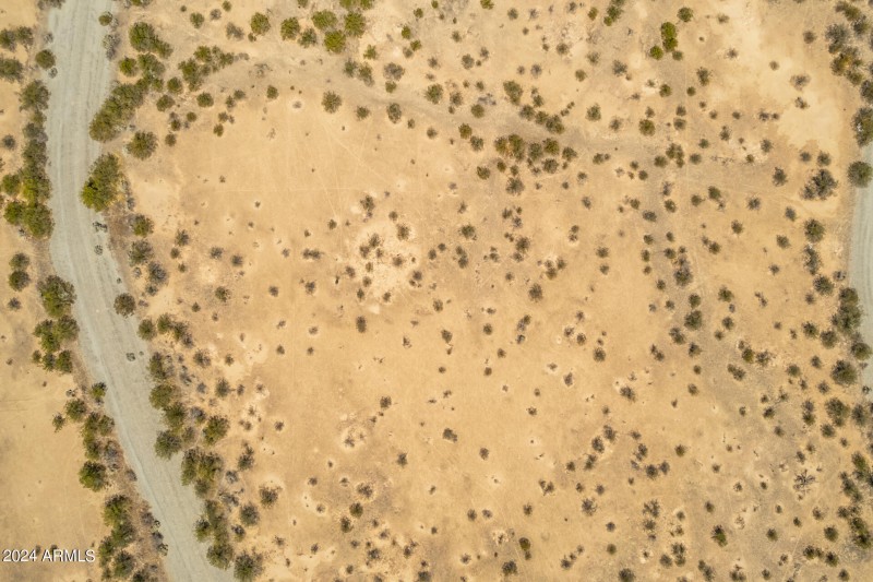 07 - Pima