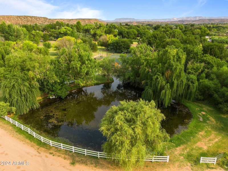 Pond/Creek